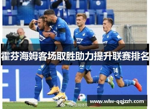 霍芬海姆客场取胜助力提升联赛排名