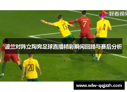 波兰对阵立陶宛足球直播精彩瞬间回顾与赛后分析